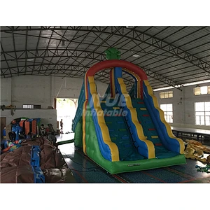 Mini Size Frog Inflatable Pool Slide For Inground Swimming Pools