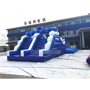 Octopus PVC Backyard Commercial Indoor Small Inflatable Water Park