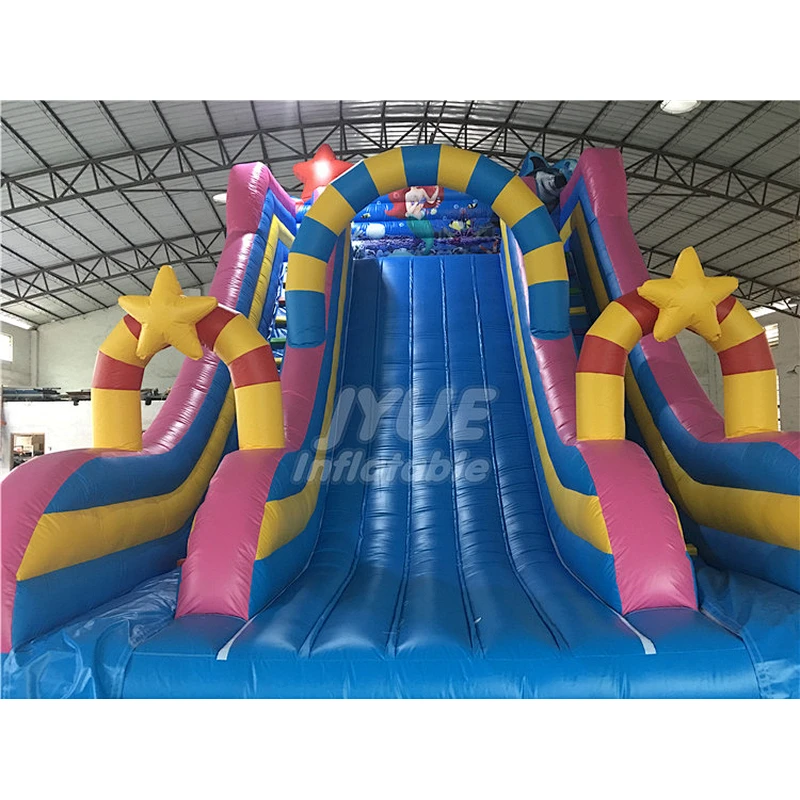 Outdoor Indoor Inflatable Dry Slide For Sale , Commercial Inflatable Small Slide