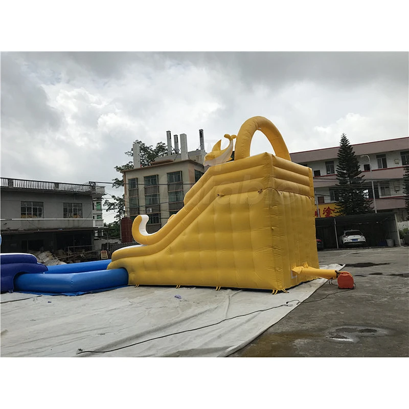Waterpark Equipment Commercial Kids Inflatable Water Park With Two Dolphin Slide