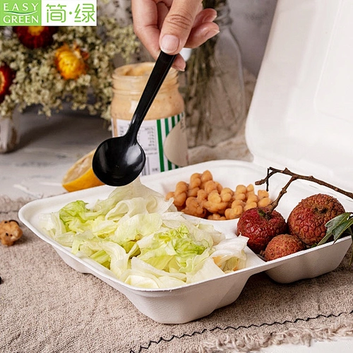 2019 Hot sale take away fast food packaging box for lunch eusable lunch boxes microwave happy cooperation