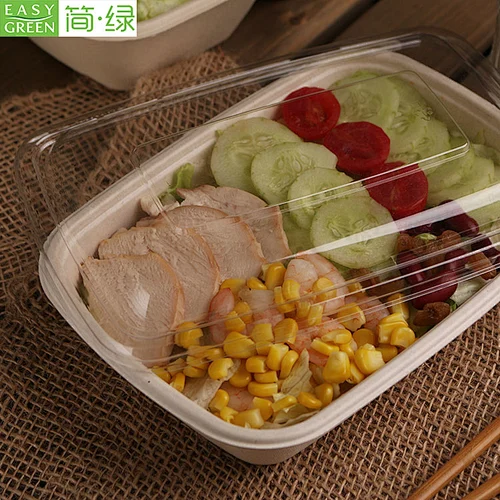 Easy Green Bento Lunch Box Disposable Container for Fast Food New Arrival Product
