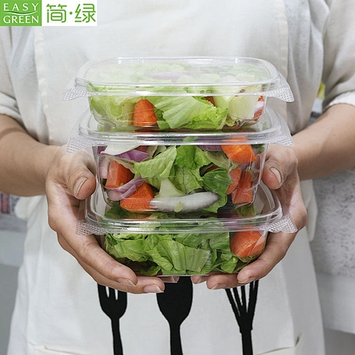 Easy Green Factory Wholesale Hot Sale Disposable Plastic Container For Food