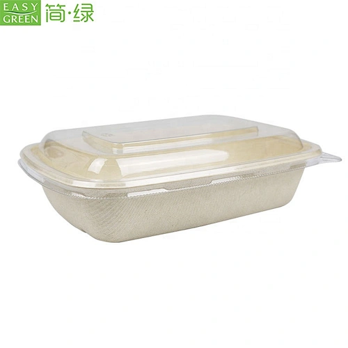 Easy Green Disposable Lunch Box Biodegradable Fast Food Container Clear PET Lid