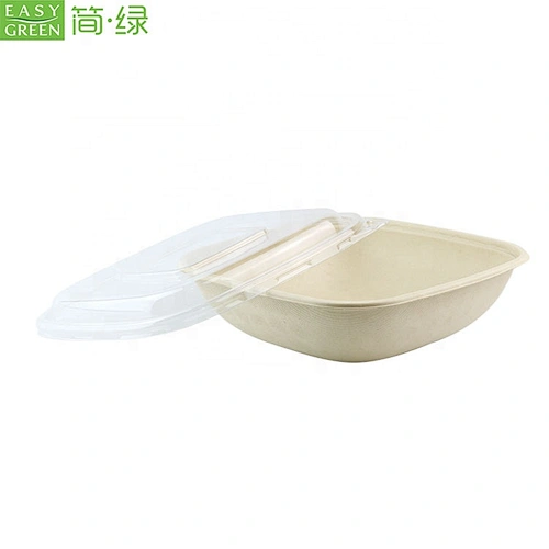 Easy Green Sugarcane Bagasse Pulp Takeaway Square Disposable Salad Bento Food Container