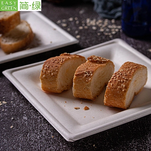 Easy Green disposable biodegradable white recycled bagasse sushi tray for food