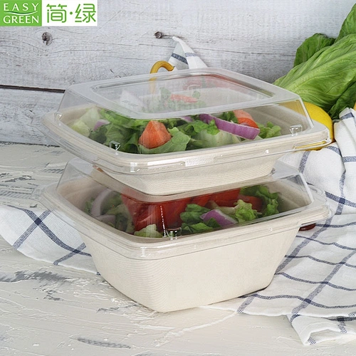 Easy Green Bagasse 42oz Biodegradable Disposable Paper Fiber Salad Food Container/Bowl Compostable