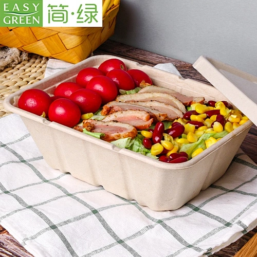 EASY GREEN Disposable Biodegradable Eco-friendly Microwave Safe Takeaway Food Container Pulp Bento Lunch Box