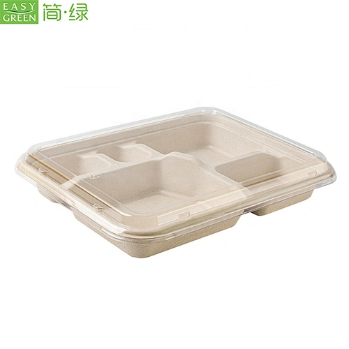 Bagasse Bamboo Disposable Biodegradable 5-Compartment Lunch Plate Food Paper Tray With PET Lid