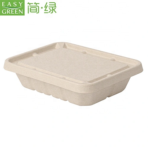 EASY GREEN Disposable bamboo pulp material Biodegradable Eco-friendly paper lunch bento box