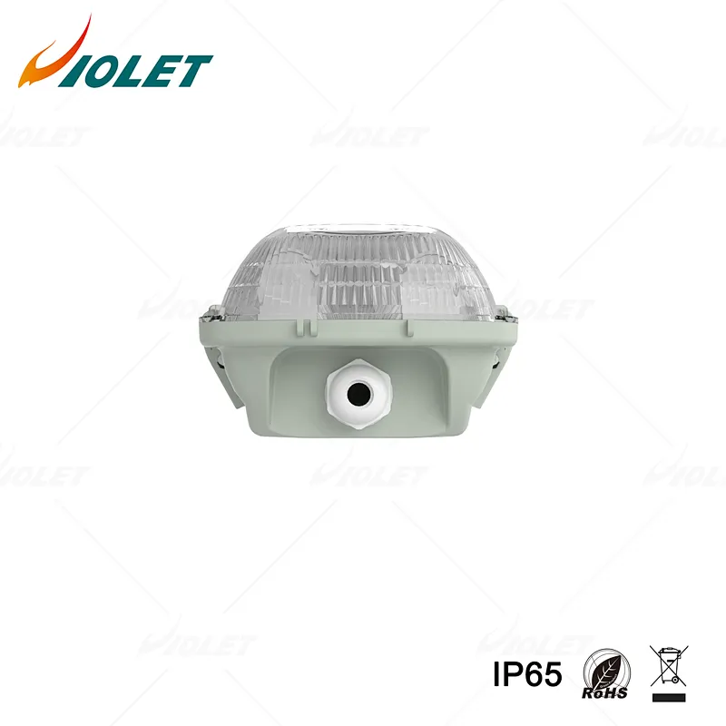 IP65 IK08 LED Batten Light for Warehouse Use Tri Proof Tube light