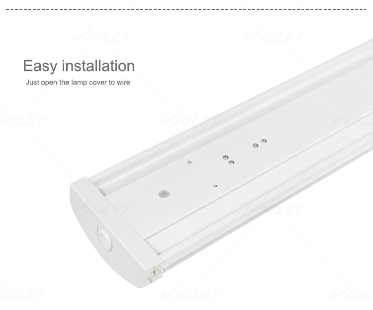 ip40 lamp supplier