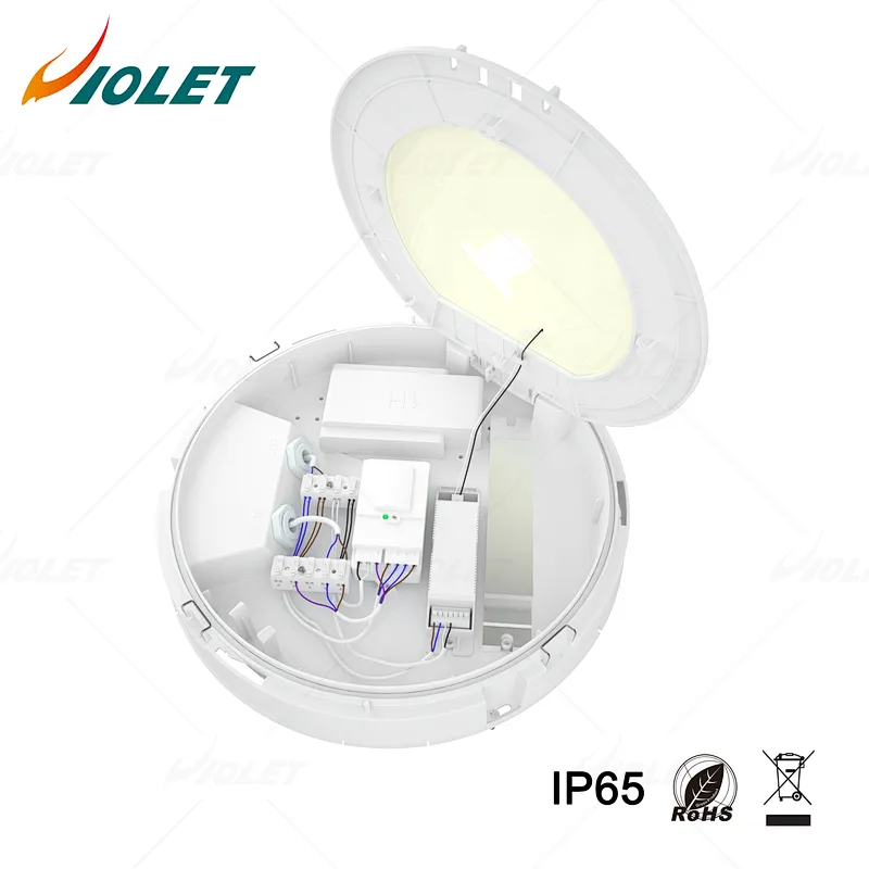 IP65 Outdoor Waterproof Light with Motion Sensor Function, Ceiling Light Manufacturer