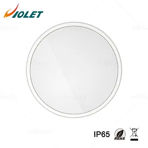 IP65 Outdoor Waterproof Light with Motion Sensor Function, Ceiling Light Manufacturer