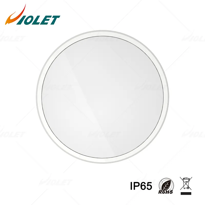 IP65 Outdoor Waterproof Light with Motion Sensor Function, Ceiling Light Manufacturer