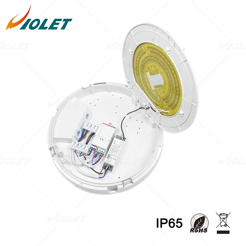 IP65 Outdoor Waterproof Light with Motion Sensor Function, Ceiling Light Manufacturer