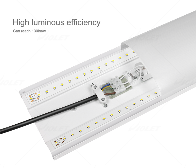 ip40 lamp manufacturer