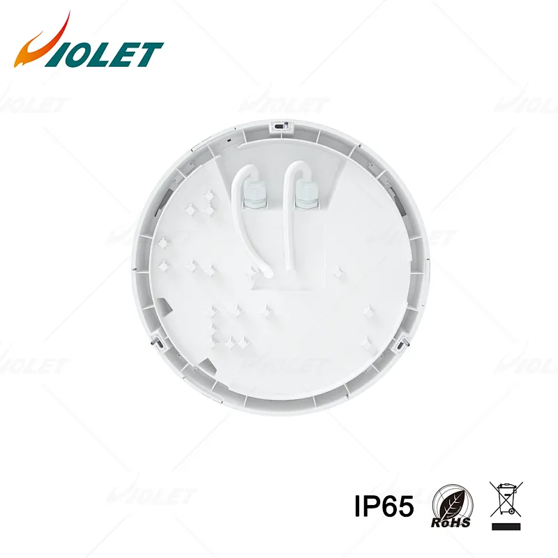 IP65 Outdoor Waterproof Light with Motion Sensor Function, Ceiling Light Manufacturer