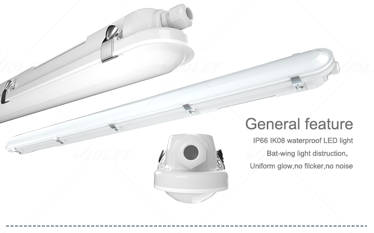 ip66 led batten supplier