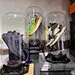 Capsule shoe display