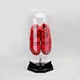 Capsule shoe display