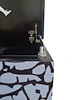 shoe storage cabinet