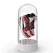 led light capsule shoe box