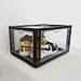sneaker cases clear
