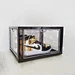 sneaker cases clear