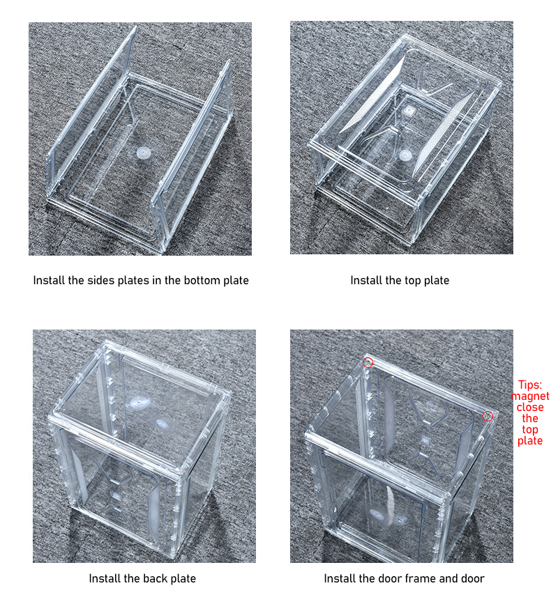 sneaker box transparent