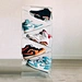 shoe display rack