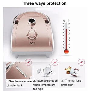Appliance steam iron stand hanger brush clothes steamer professional  electric clothes vertical garment clothes steamer new