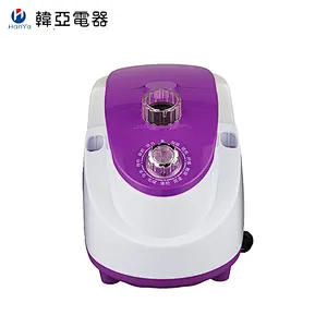 Multi Purpose Fast-Heating Electric Hanger Steam Iron Vertical Garment Steamer for Home