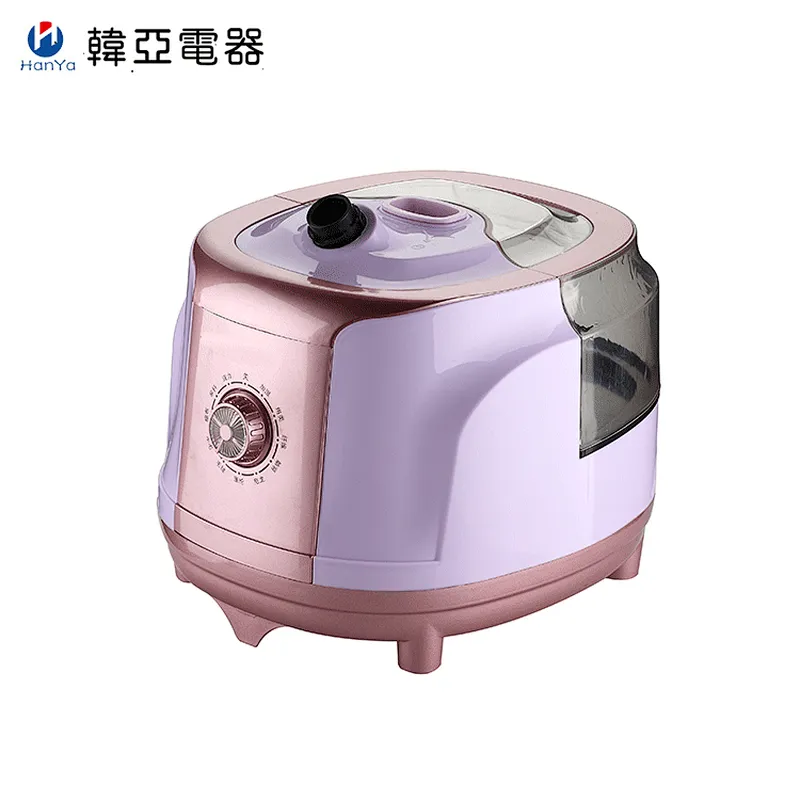 2020 New Home Appliance Steam Iron  Home Garment Steamer