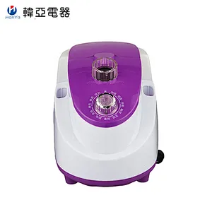 Factory Direct Sale Steamer Iron Vertical Garment Clothes Steamer