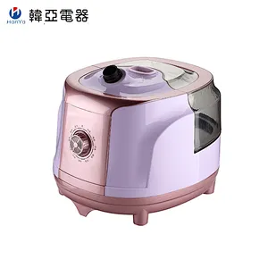 2020 New Type Hot Selling Clothes Steamer 2.3L Garment Steamer