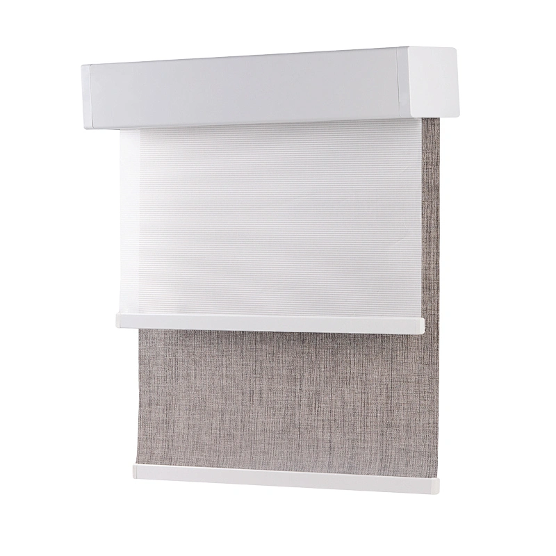 day and night dual roller shades