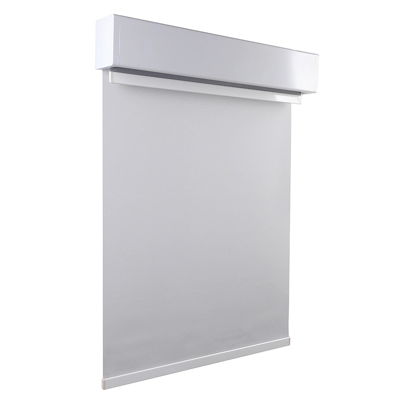 day and night dual roller shades