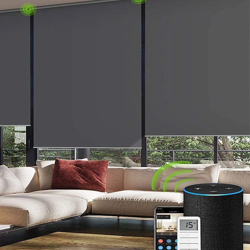 indoor motorized roller shades