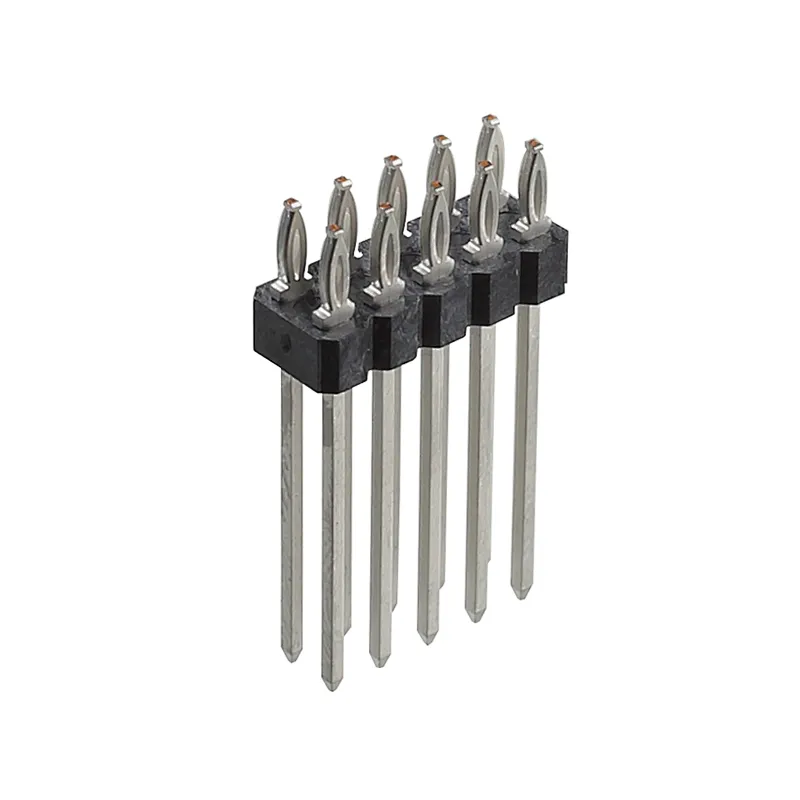 fisheye type terminals