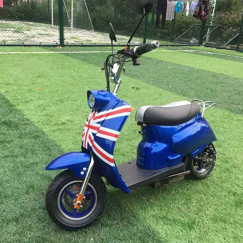 Electric small motorcycle