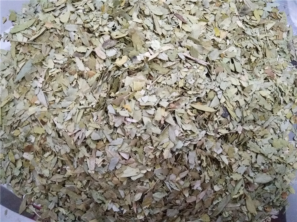 Blend 2#Senna Leaf.jpg