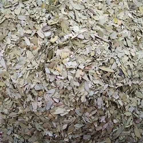 100% Natural Senna leaf tea for body detox and weight loss