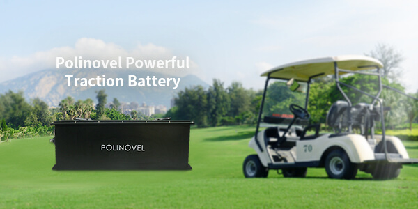 Polinovel golf cart battery
