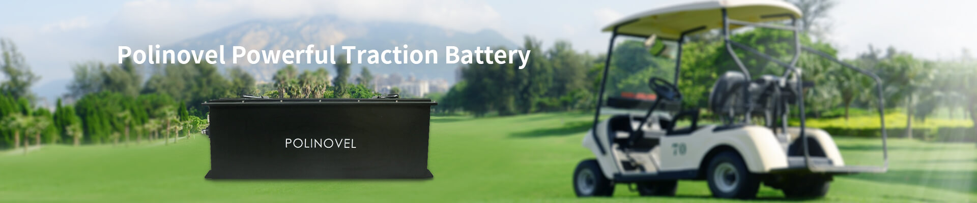 Polinovel Golf Cart Battery