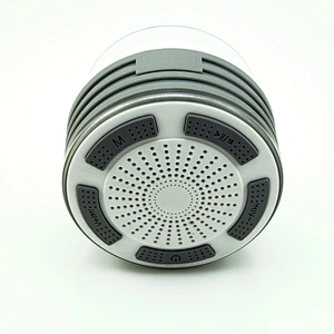 speaker outdoor