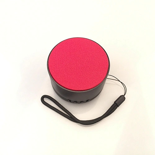 Portable Wireless Speaker