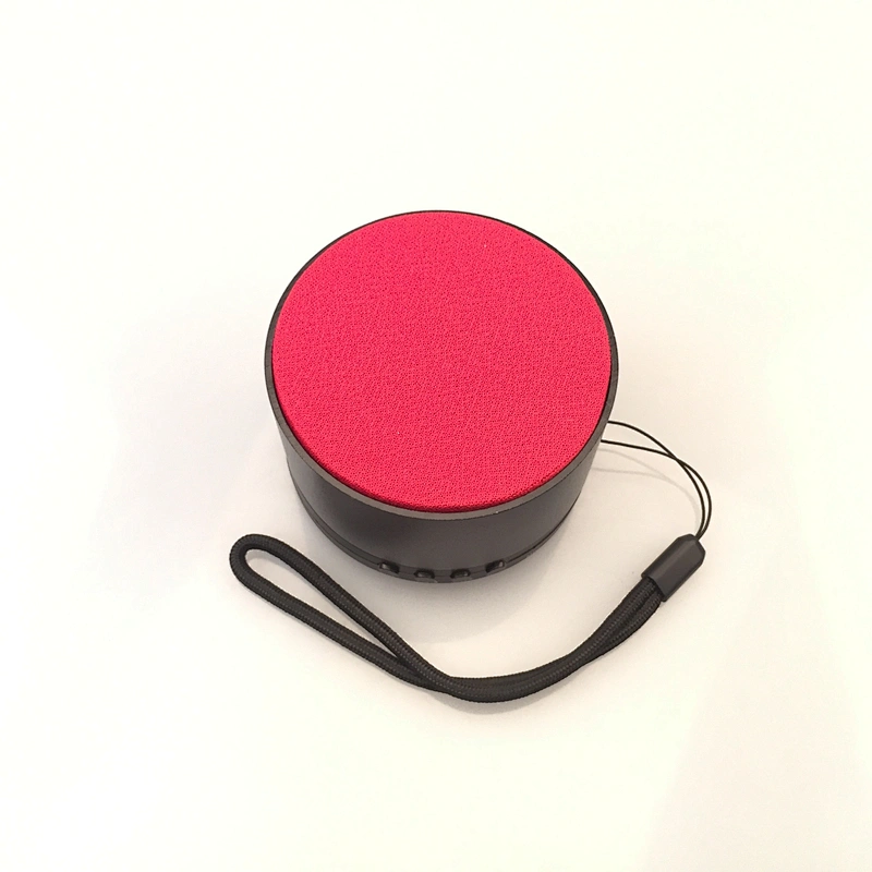 Portable Wireless Speaker