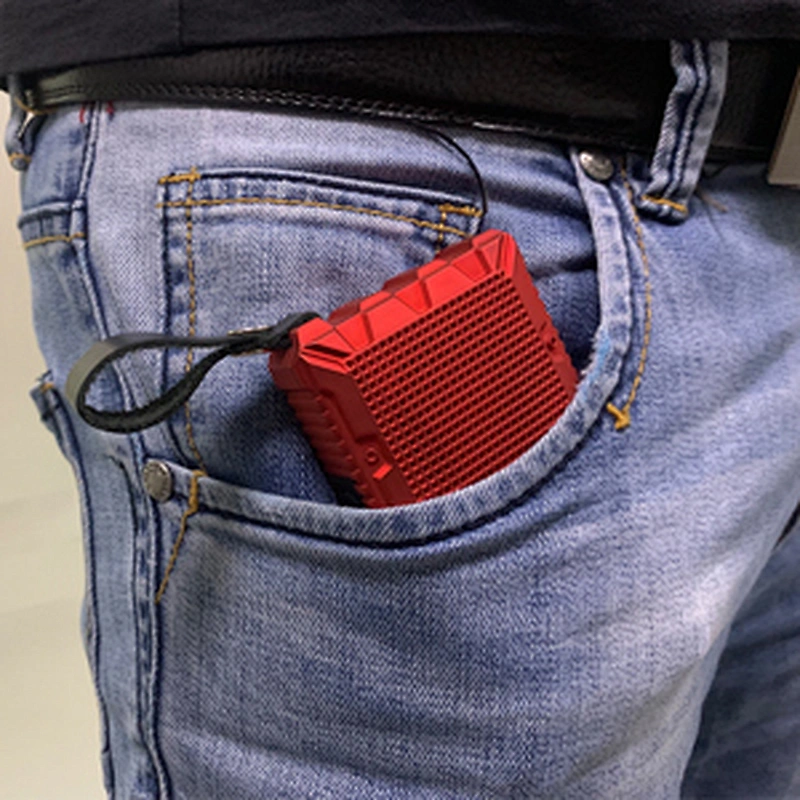 Portable speaker