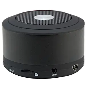 Portable Speaker
